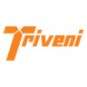 Triveni Engineering & Industries Ltd. share price