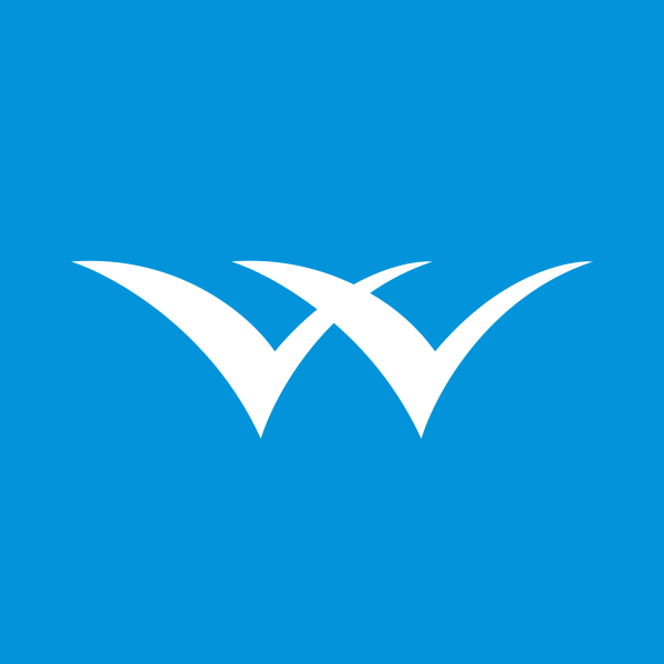 Welspun Investments and Commercials Ltd