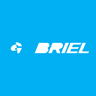 Gabriel India share price
