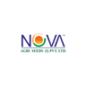 Nova Agritech share price