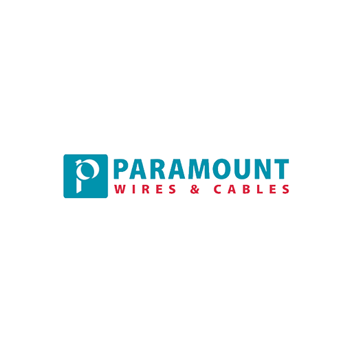 Paramount Dye Tec share price