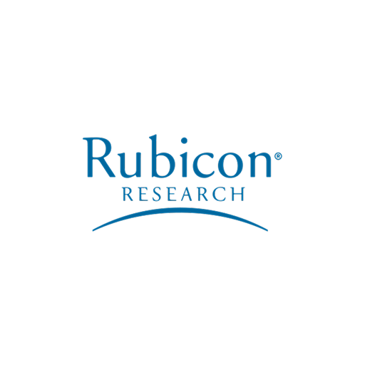 Rubicon Research Ltd. share price