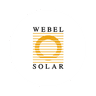 Websol Energy System share price