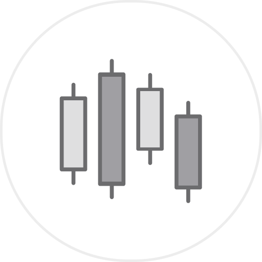 Vidya Wires Ltd. share price