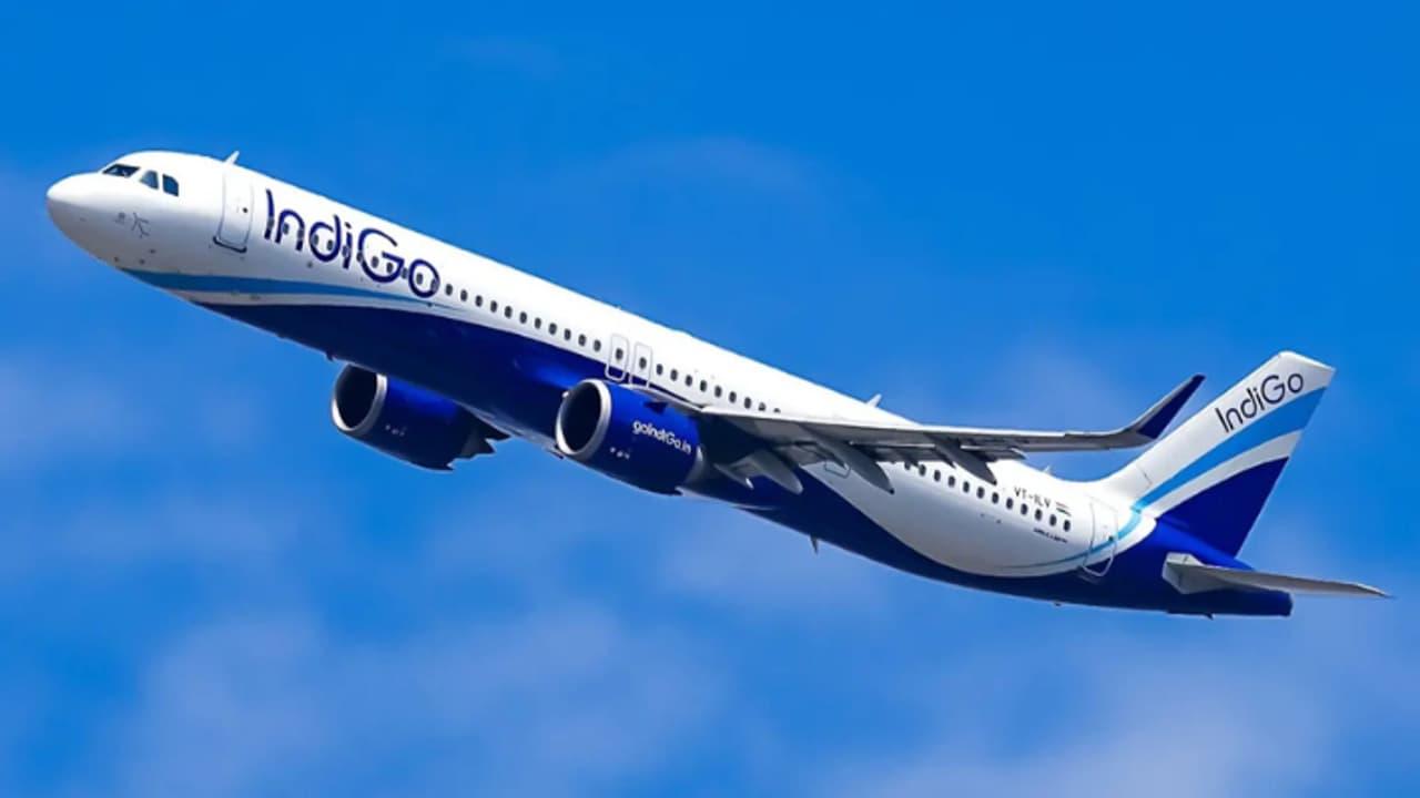 indigo.jpg