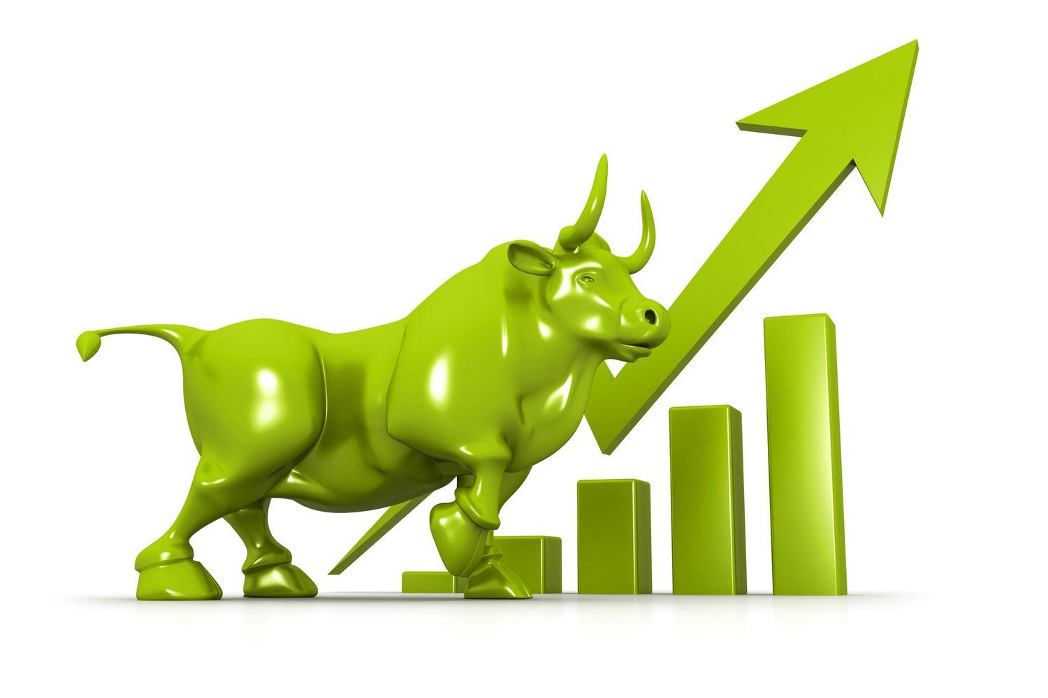 BULL.jpg