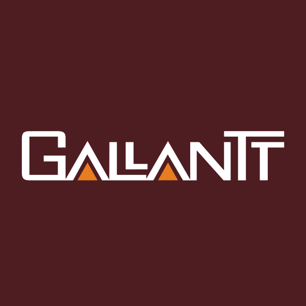 Gallantt Ispat Ltd share price