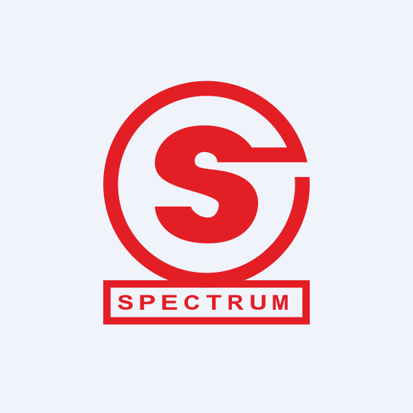 Spectrum Electrical Industries Ltd share price