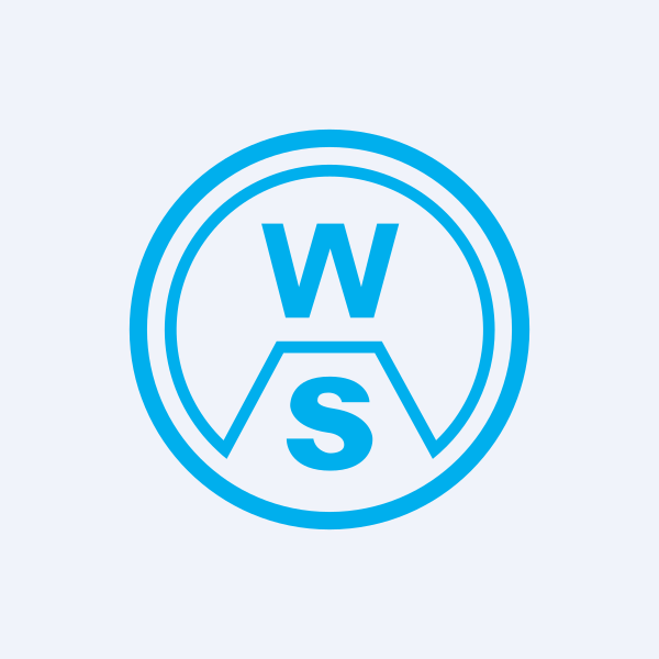 W S Industries (India) Ltd share price
