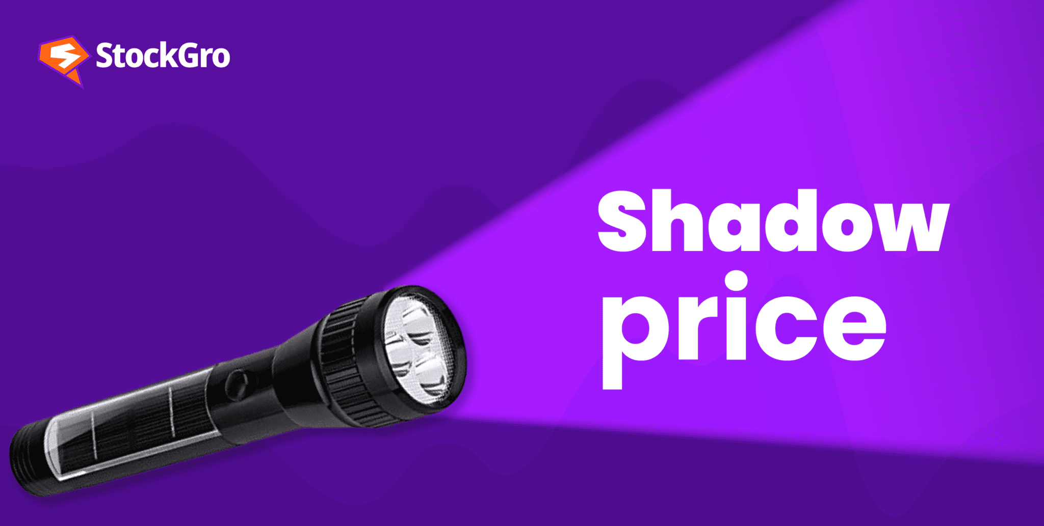Shadow pricing Valuing intangibles and opportunity costs