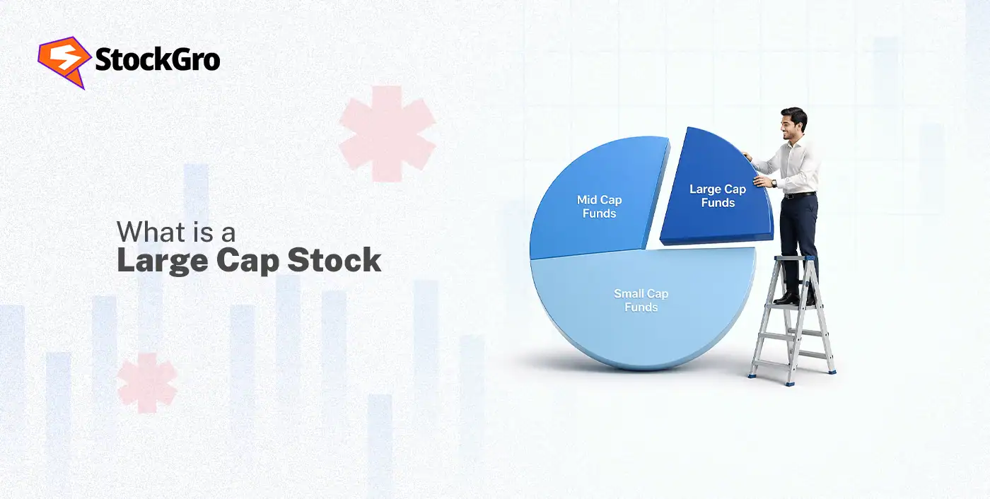 what is a large cap stock