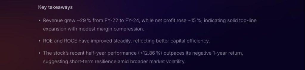 Investor using Stoxo AI on a laptop to instantly analyse a company’s key financial metrics, showing how AI simplifies stock valuation.