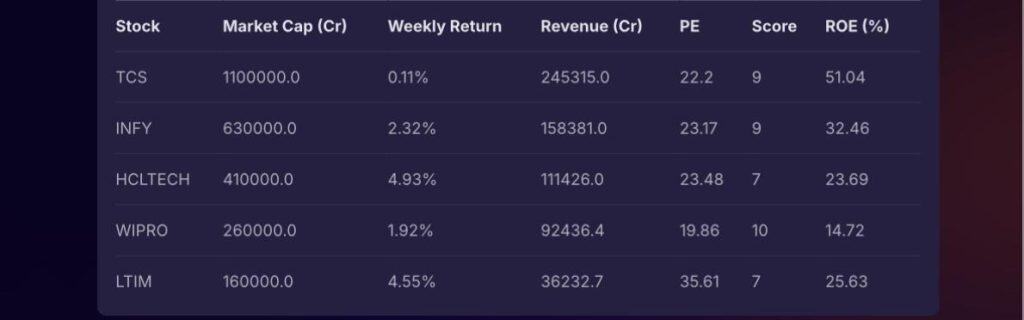 Investor using Stoxo AI to find mid-cap IT stocks with filters for P/E ratio and revenue growth.